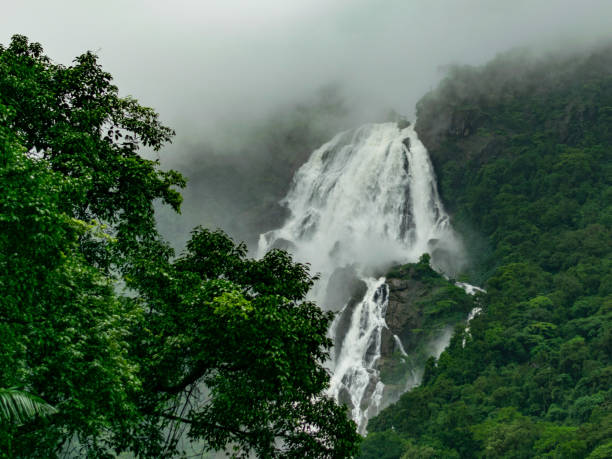 Trekwala Adventure Present’s Dudhsagar Waterfall - Featured Image